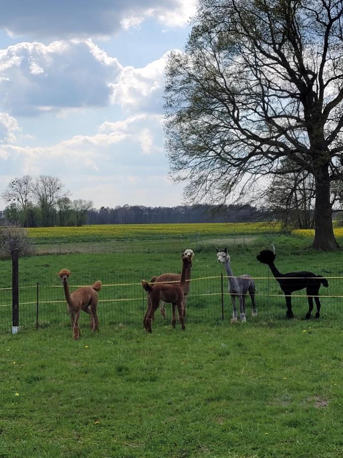 RambowMaerchenhaft Urlauben Auf Dem Alpakahofアパートメント エクステリア 写真
