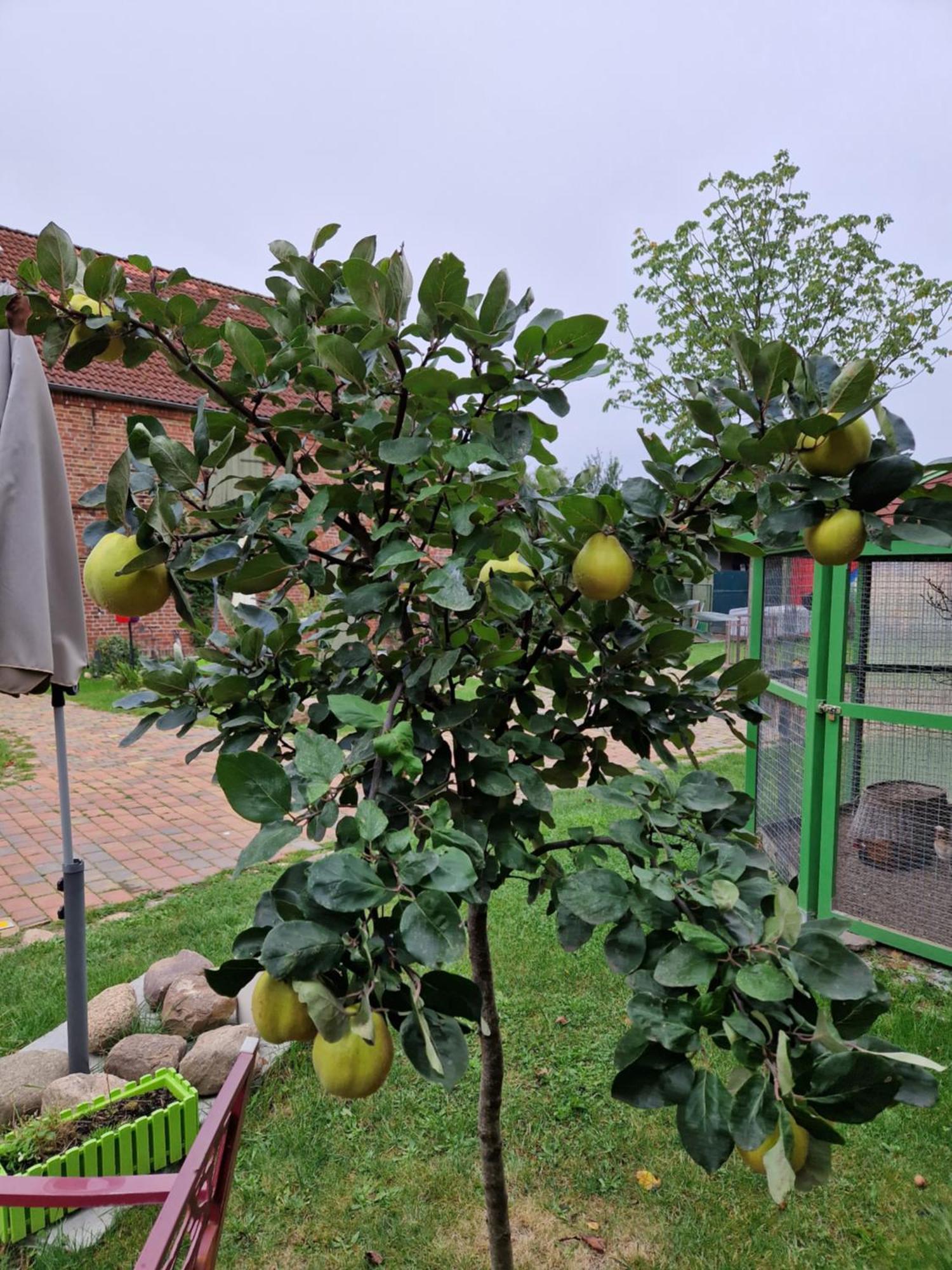 RambowMaerchenhaft Urlauben Auf Dem Alpakahofアパートメント エクステリア 写真